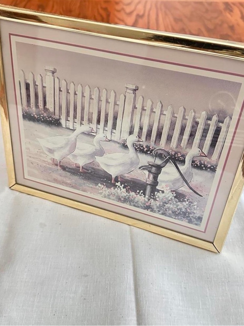 Duck Garden Print in Gold Frame
